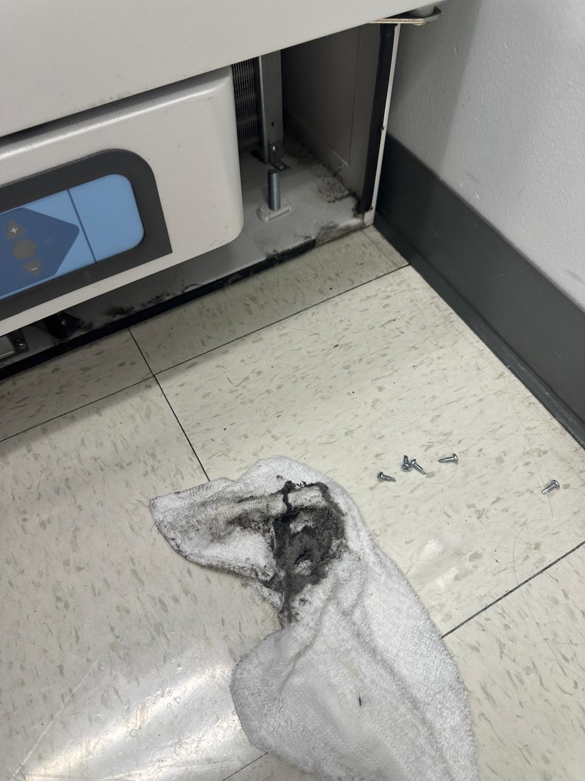 Dust removed during cleaning of the laboratory freezer lower air-filter compartment